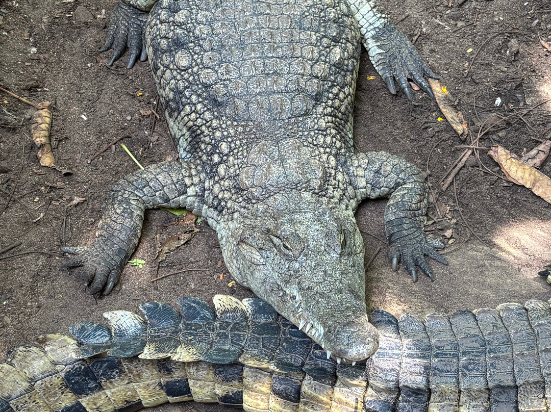 Kalume Safari-瓦塔木必去景点