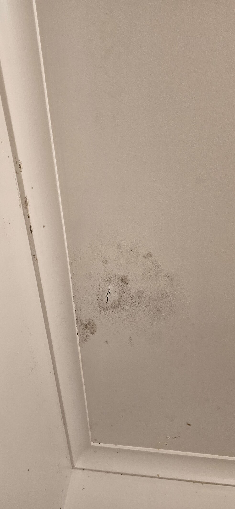 Merimbula Gardens Motel-官方