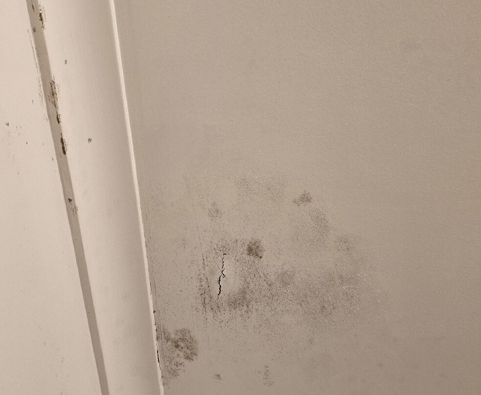 Merimbula Gardens Motel主图