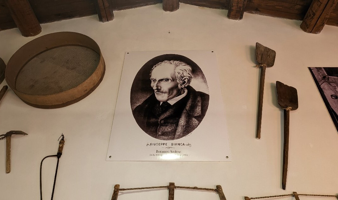 Museo della Mandorla di Avola-Avola必去景点