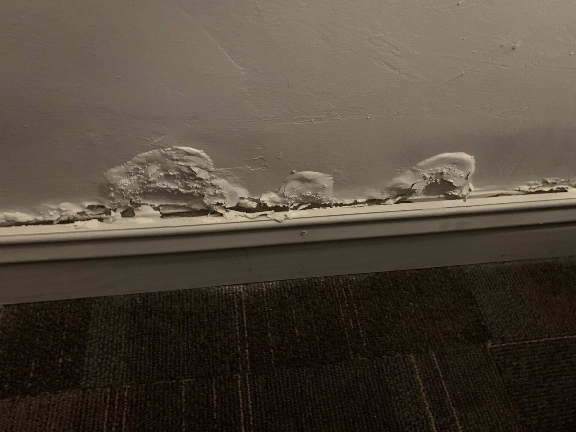 Wyndham Garden Antofagasta Pettra-客卧