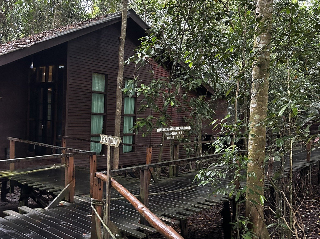 Borneo Natural Sukau Bilit Resort主图
