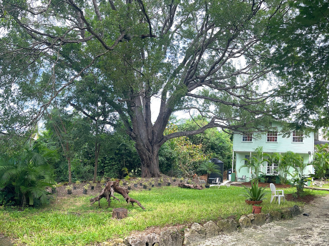 Medford Craft World-布里奇顿必去景点
