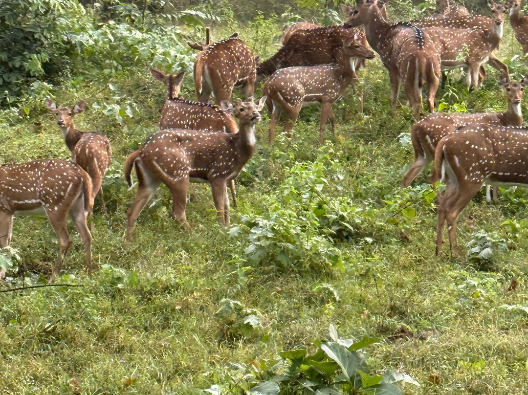 Groowynd Holidays India Pvt Ltd-Sulthan Bathery必去景点