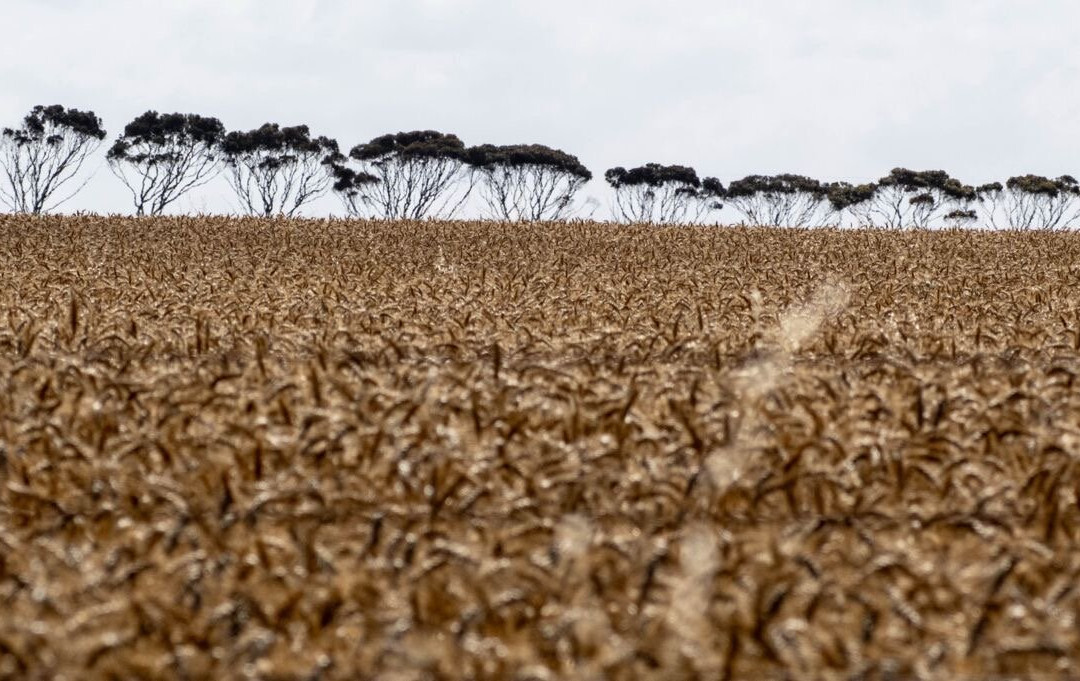 Australian Geographic Travel-悉尼必去景点