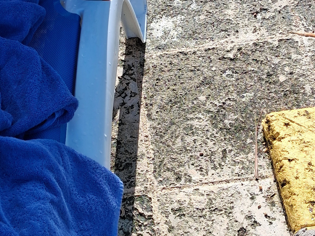 Plaza Pesquero-Rafael Freyre必去景点