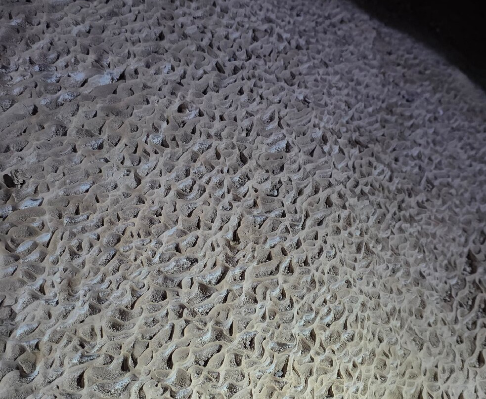 Grutas de São Miguel-博尼图必去景点