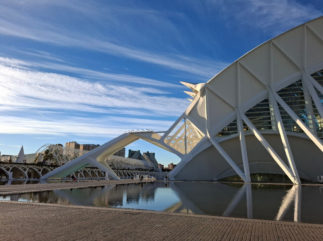 Palacio de las Artes Reina Sofía-巴伦西亚必去景点