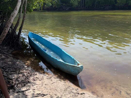 Scopriamo il Kenya con Nelson-瓦塔木必去景点