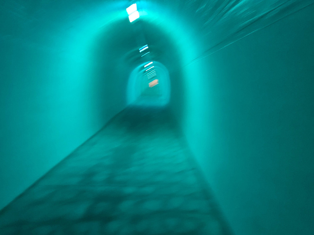 Durie Hill Elevator-旺加努伊必去景点