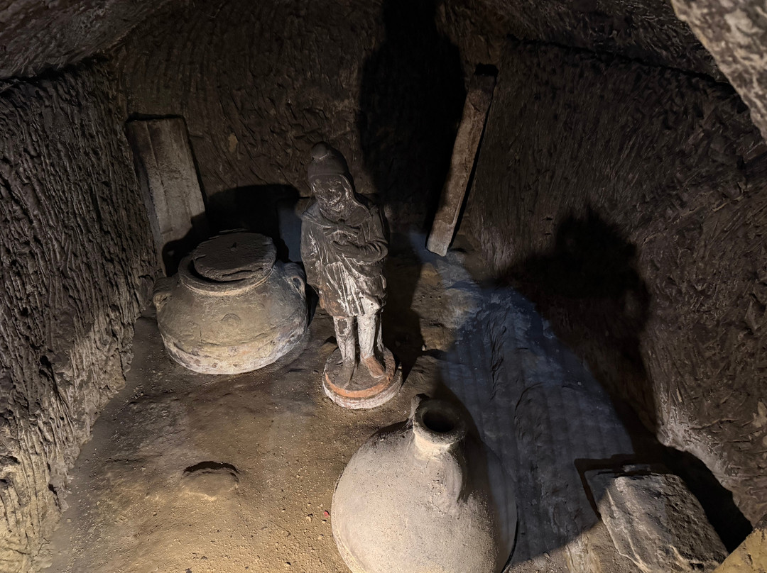 Azienda Agricola Ercolani-蒙特普尔恰诺必去景点