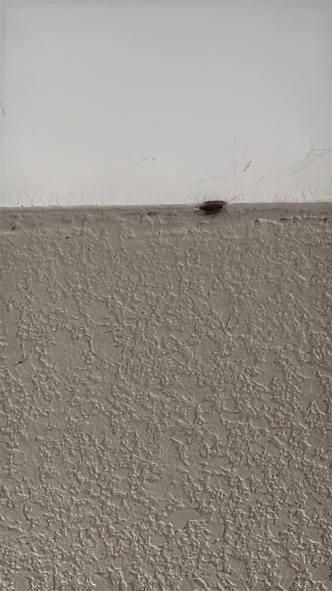 代顿豪斯酒店-官方