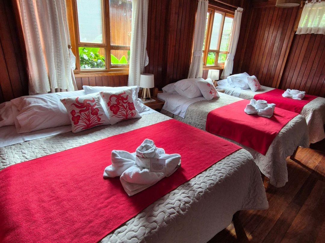 Carolina Egg Gasthaus主图