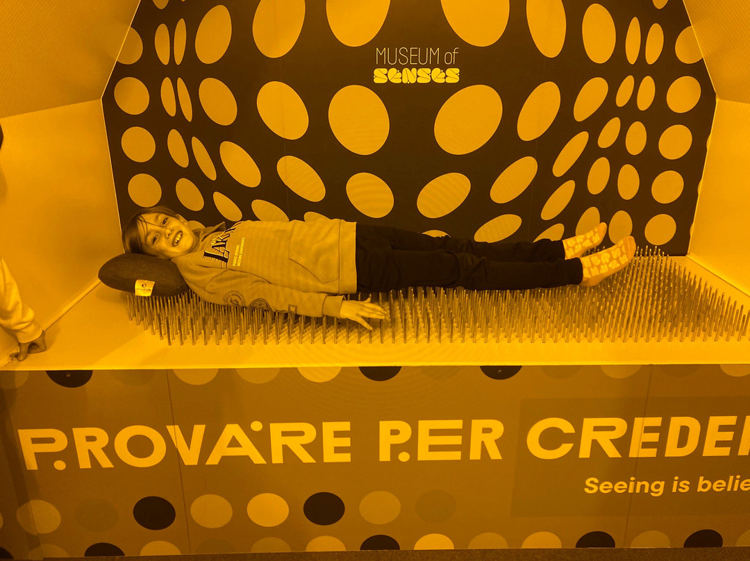 Museum of Senses Milano