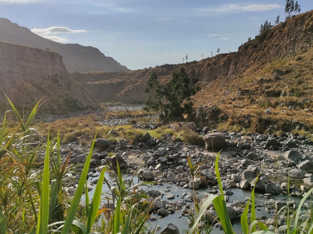 El Refugio d'Elise Hotel主图