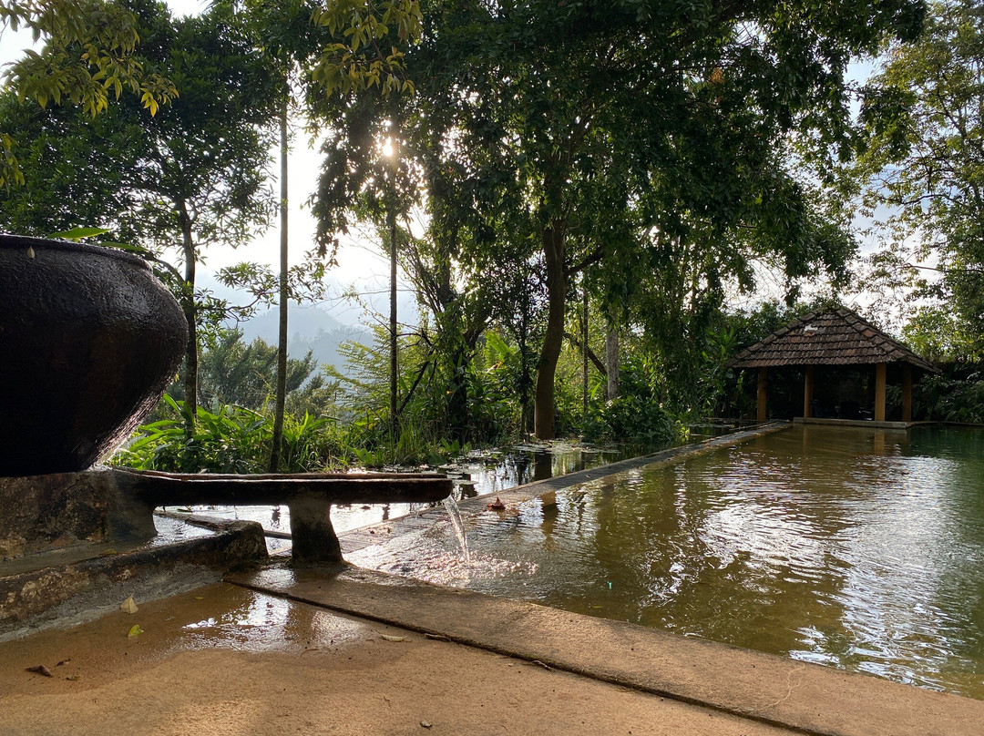 Rainforest Edge主图