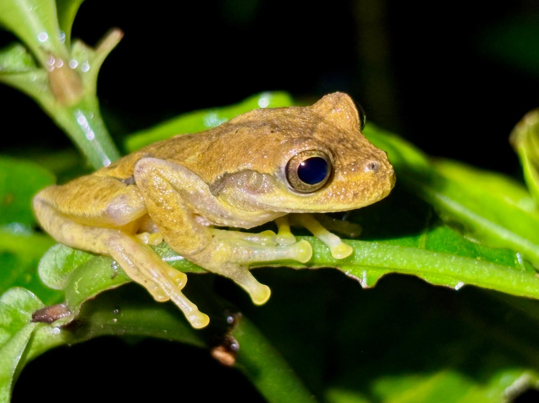 Best of Costa Rica DMC-圣何塞必去景点