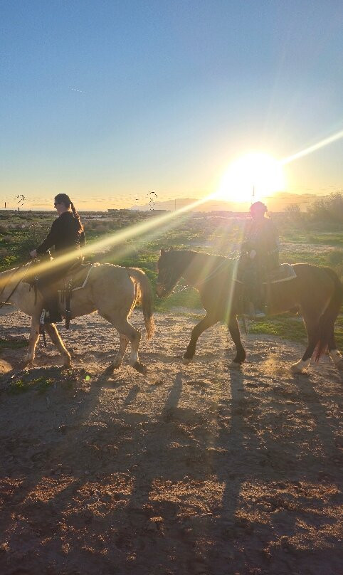 KOLI Equestrian Center-钱德勒必去景点
