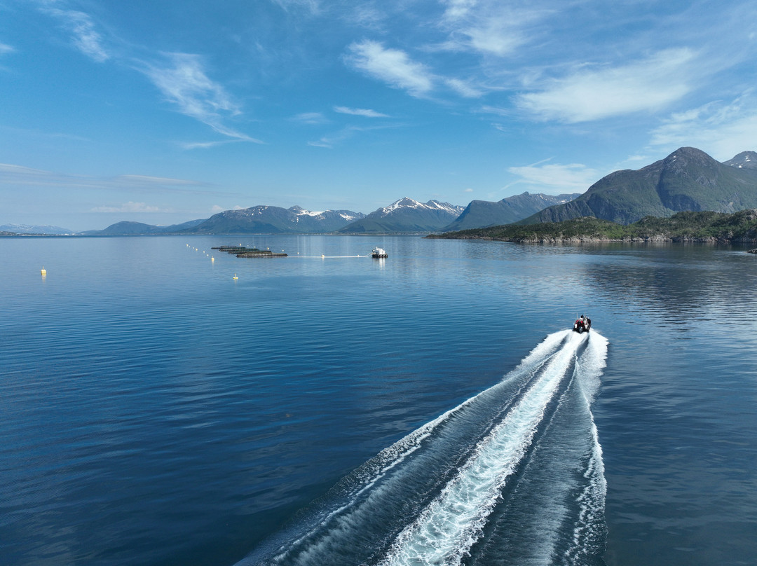 Akvakultur i Vesteralen-Sortland必去景点