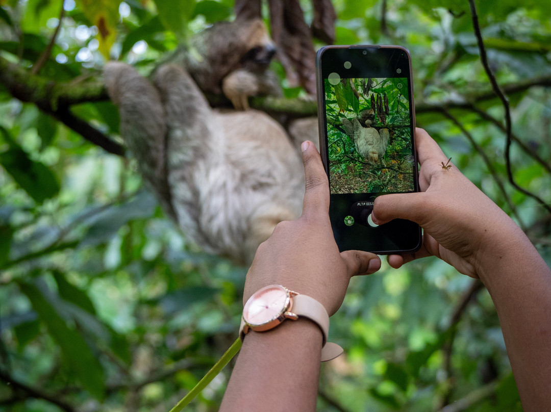 Maleku Chocolate-Upala必去景点