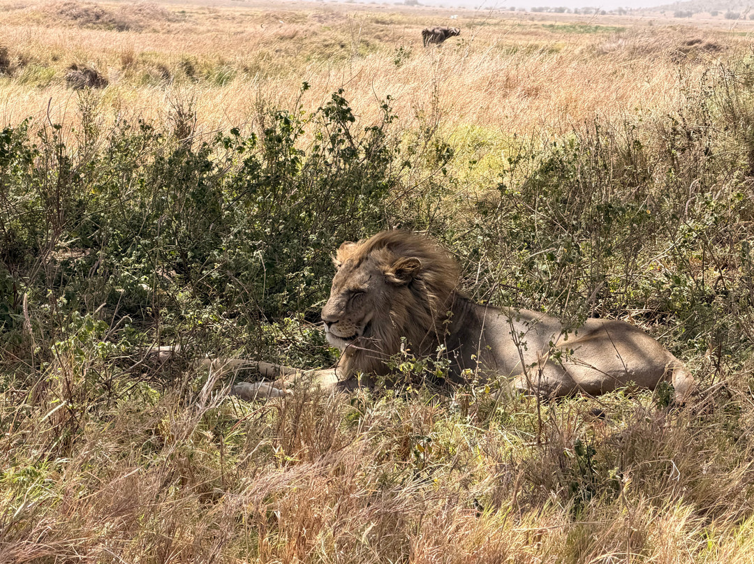 易捷旅游-一日游-阿鲁沙必去景点
