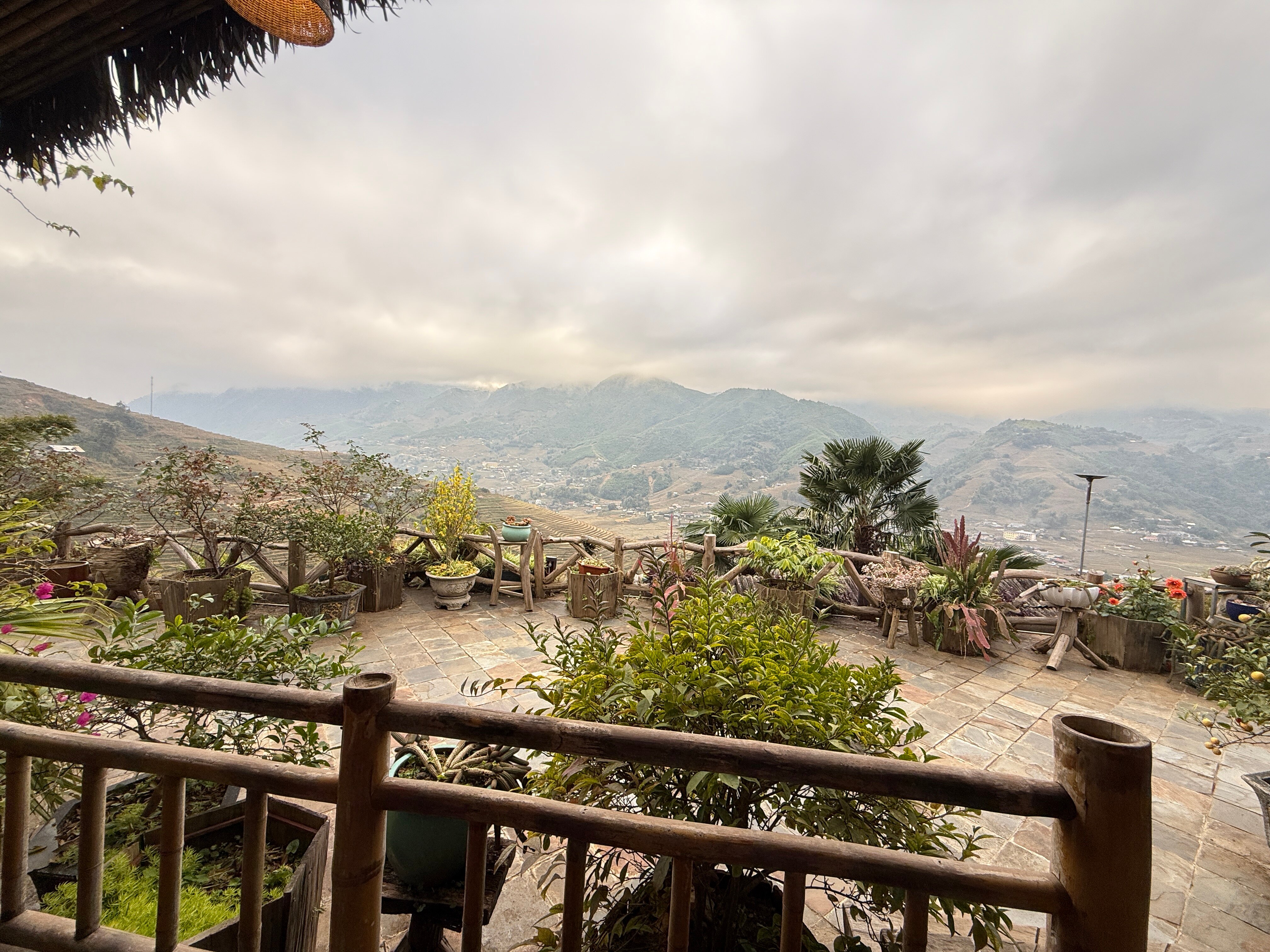 Eco Palms House-官方