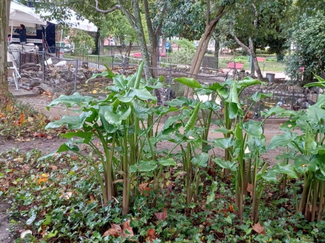 Évora Public Garden-埃武拉必去景点