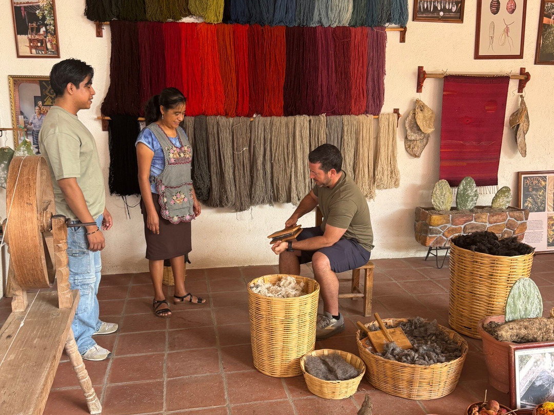 Shenic Tours-瓦哈卡必去景点