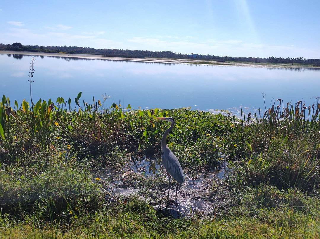 Orlando Wetlands-Christmas必去景点