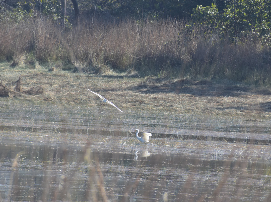 Jungle Bucket List-Moharli必去景点