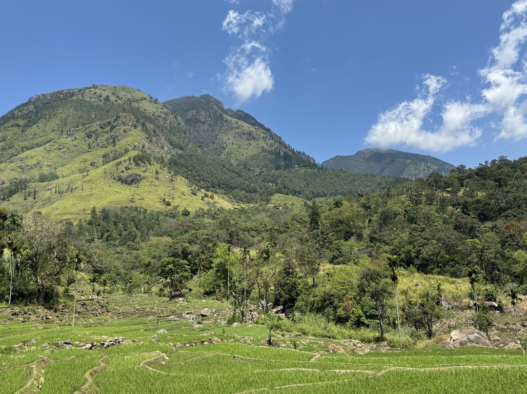 Lanka Classy Tours-凯拉尼亚必去景点
