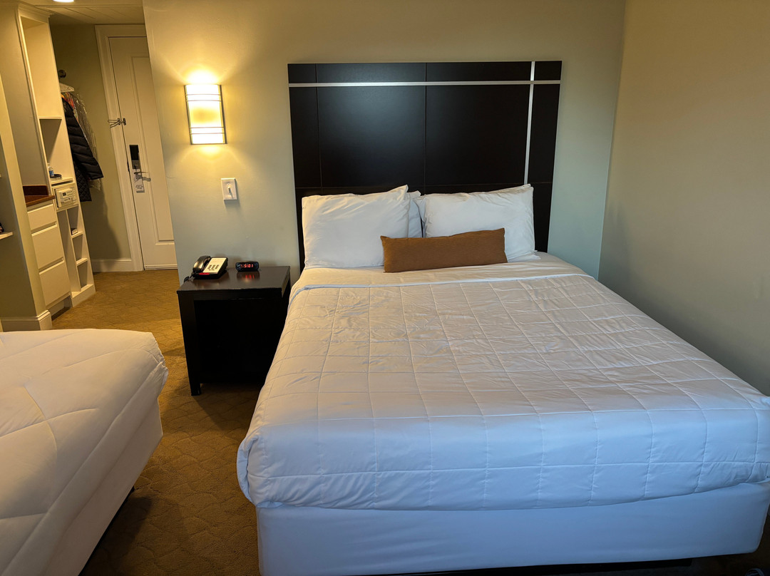 The Gin Hotel, Ascend Hotel Collection主图