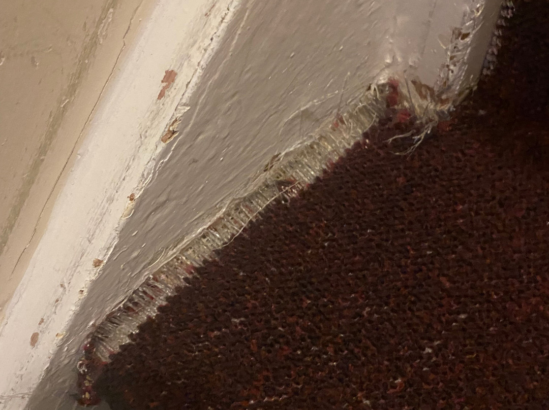 木麻黄树酒店主图