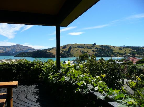 Chez Fleurs Bed and Breakfast主图