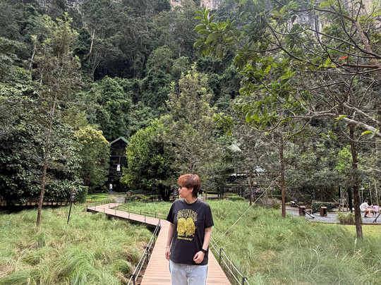 Into The Forest Resort主图