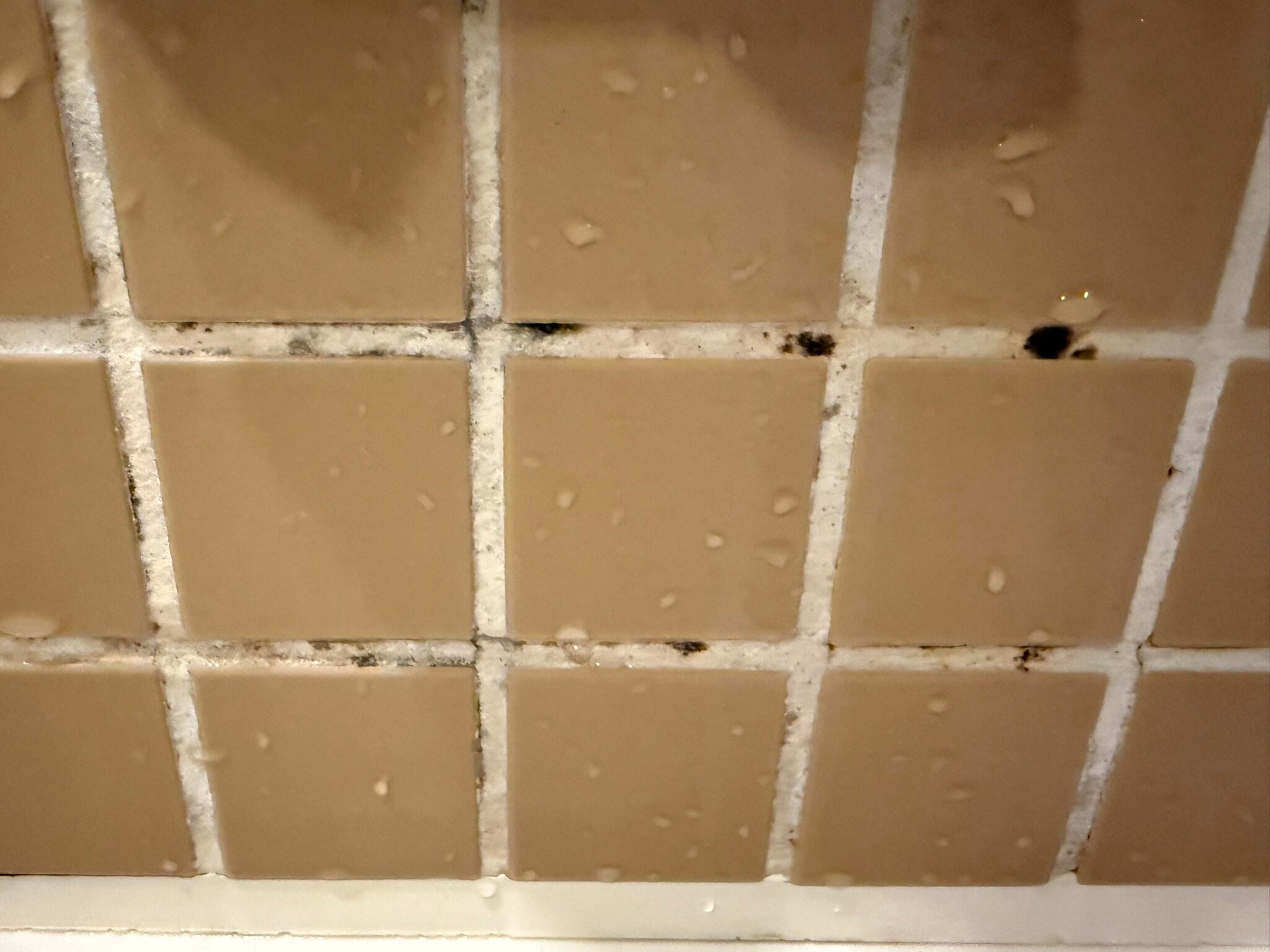 上野萨顿酒店-官方