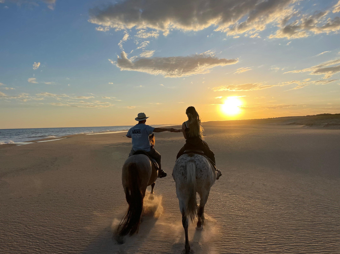 Eco Equus Cabalgatas-La Pedrera必去景点