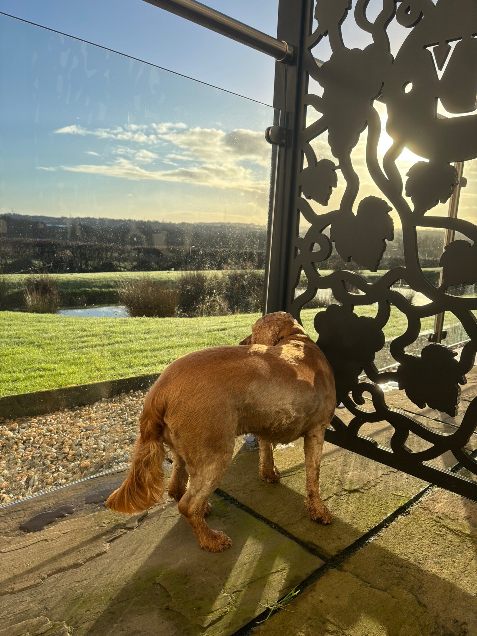 Llanerch Vineyard Hotel-官方