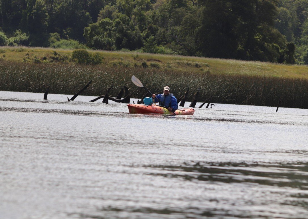 Rio Vivo-瓦尔迪维亚必去景点