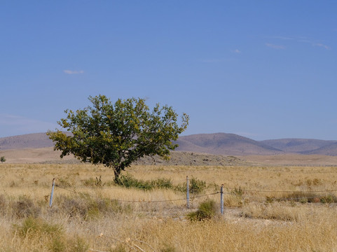 Iran's Travel-亚兹德必去景点