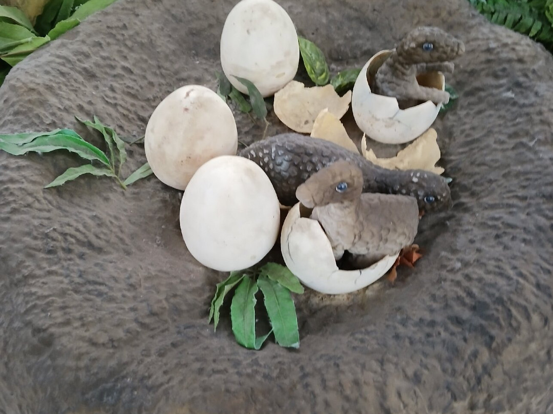 Het Oertijdmuseum-Boxtel必去景点