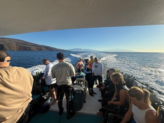 Maui Diamond Sea Sports-玛阿拉也亚必去景点