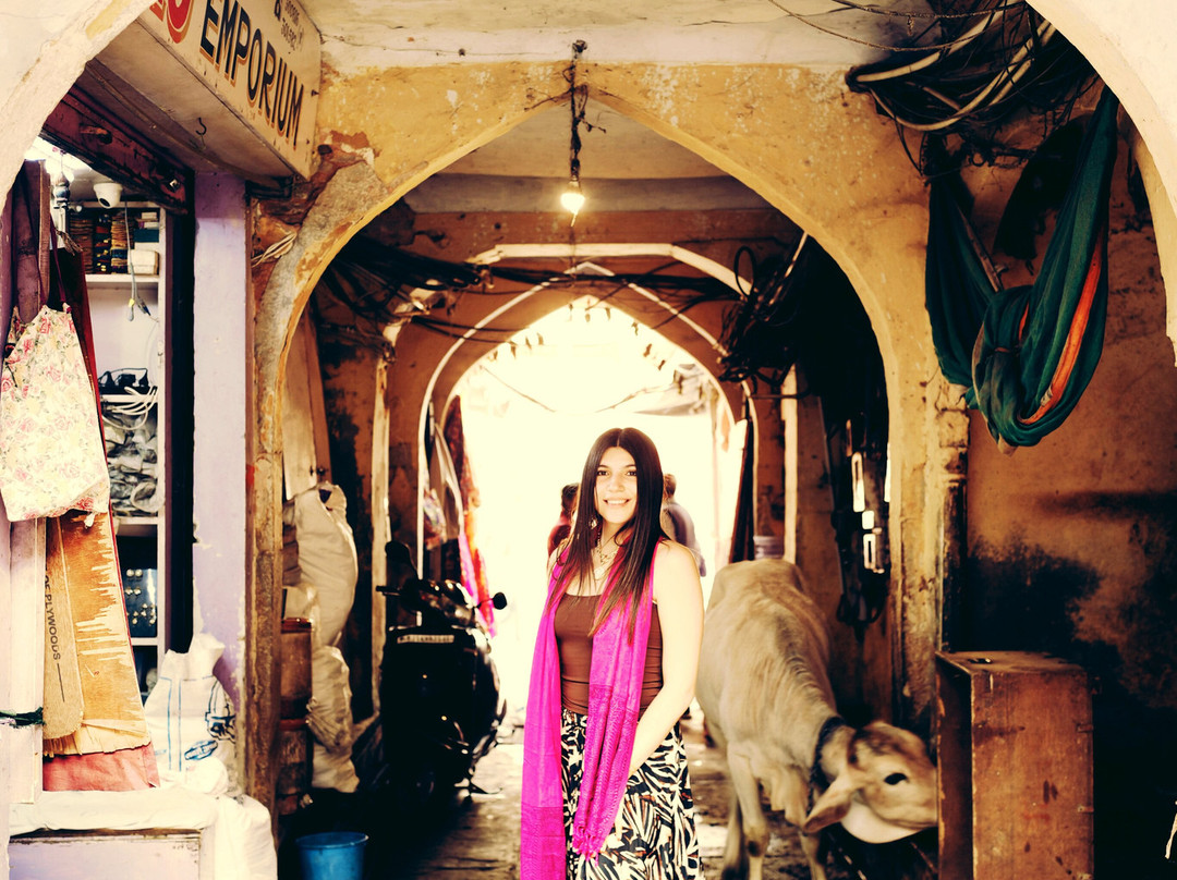 Incredible India by Car-新德里必去景点