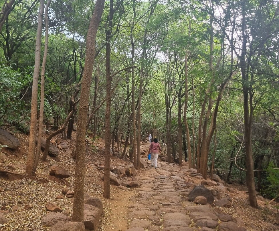 Virupaksha Cave-Tiruvannamalai必去景点