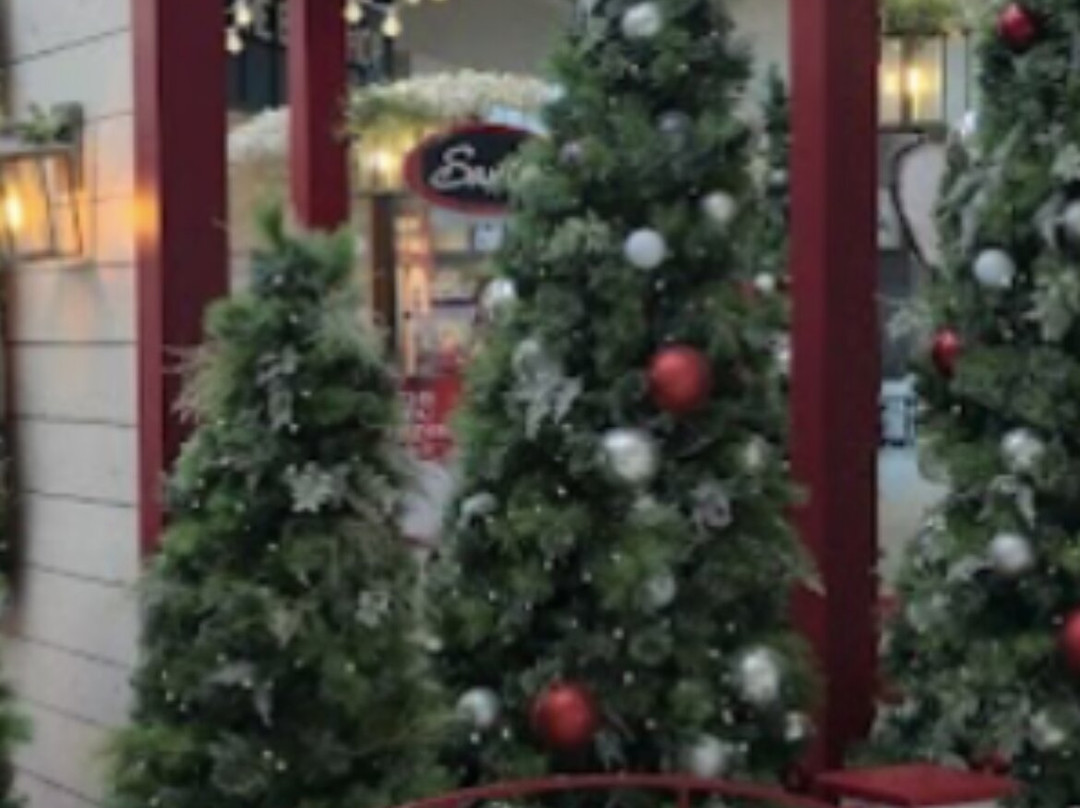 Willowbrook Shopping Centre-兰里市必去景点