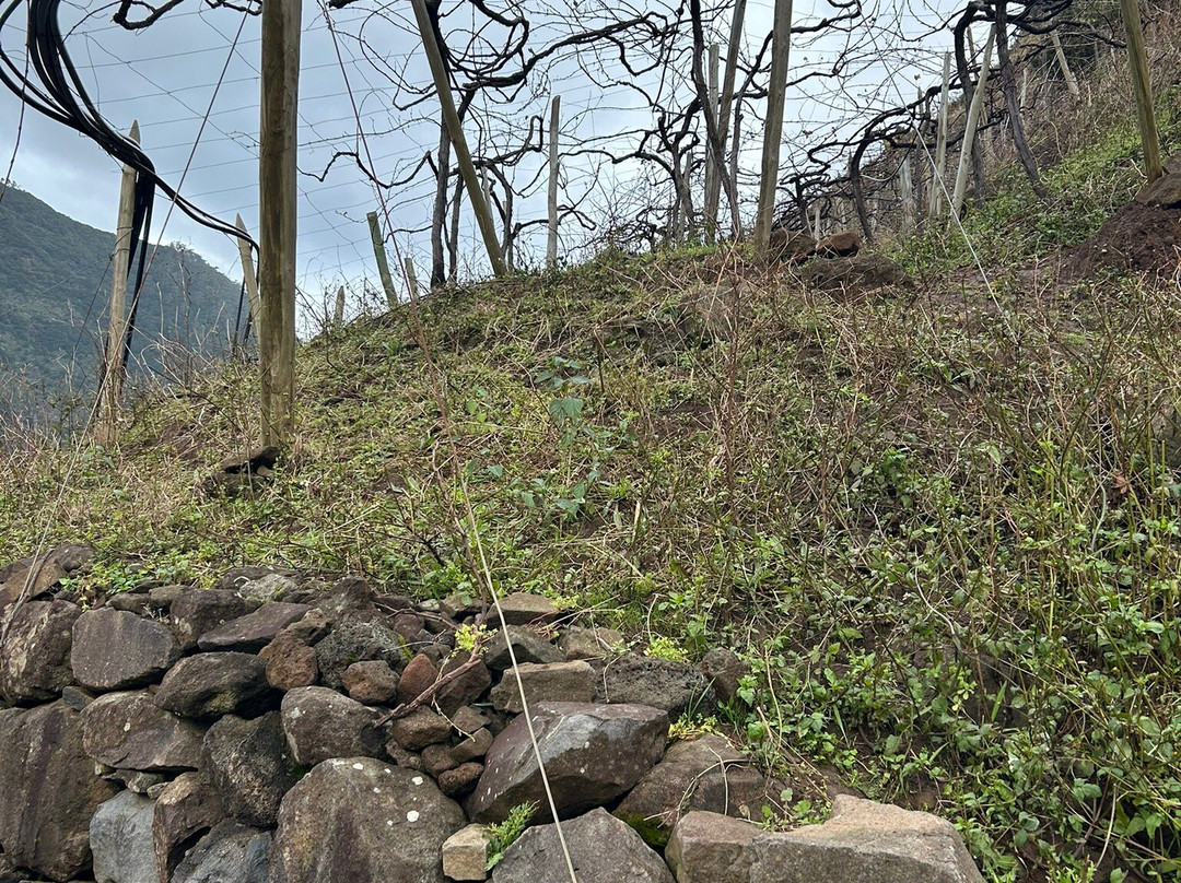 Quinta Do Barbusano-马德拉群岛必去景点