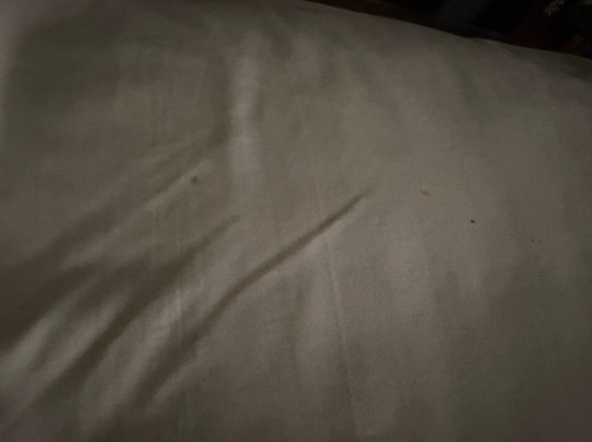 Anna Bella Motel主图