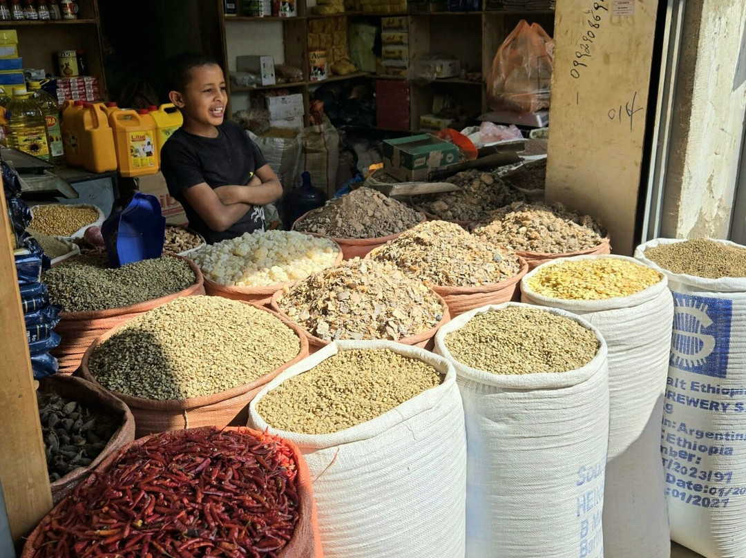 Edom Harar Tours & Car Rentals-哈勒尔必去景点