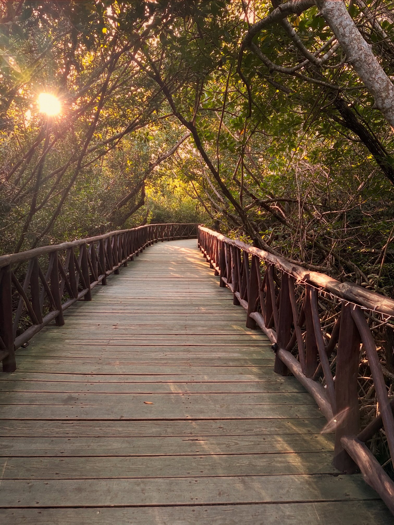 图卢姆加泰罗尼亚皇家成人专用酒店全包-浴室