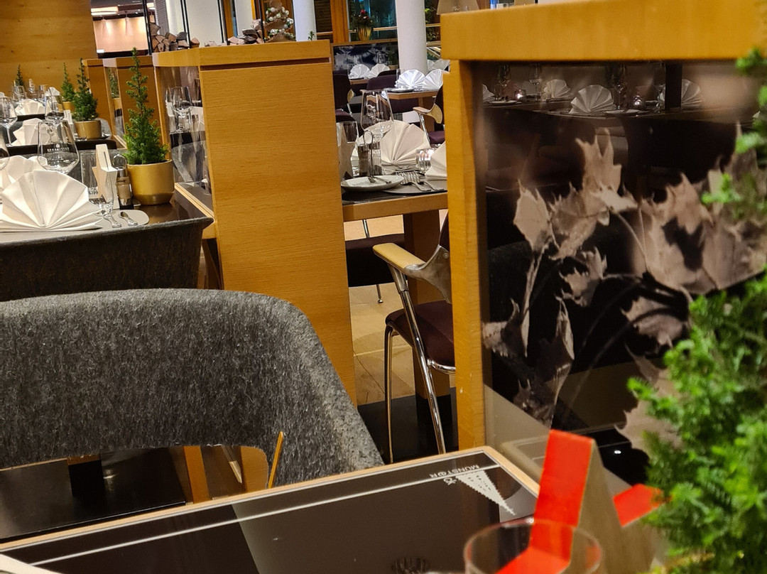 Dorint Thermenhotel Freiburg主图